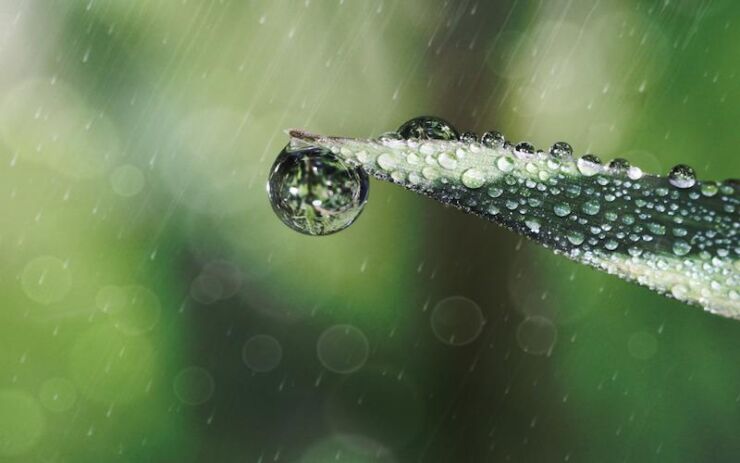 雨雫